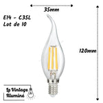 Lots de 10 ampoules LED (E14 - C35L)